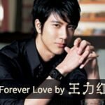 เจ๊าะแจ๊ะจอจีน Forever Love by 王力红