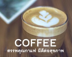 “COFFEE” สรรพคุณกาแฟ มีดีต่อสุขภาพ