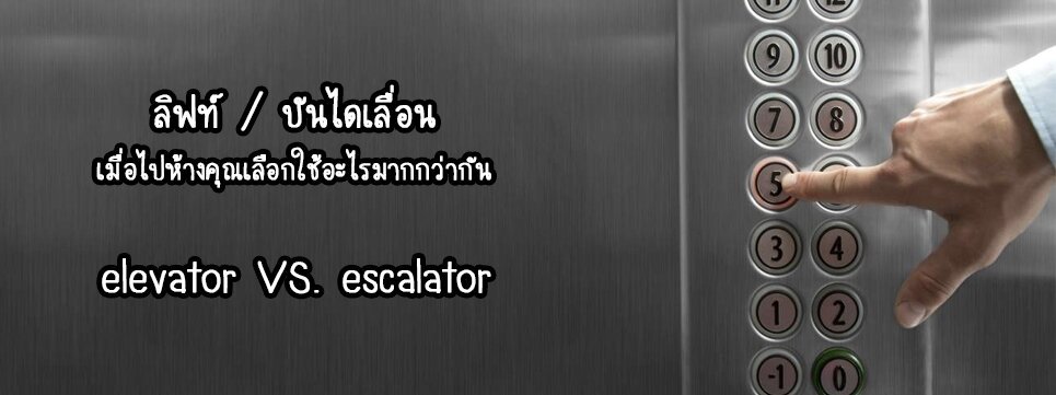 selected-between-elevator-or-escalator-main-feature